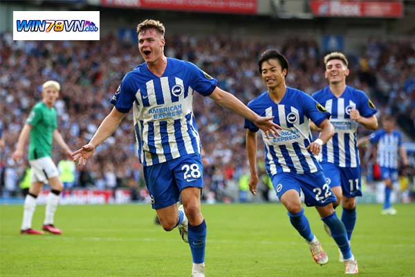 Nhận định Wolverhampton vs Brighton