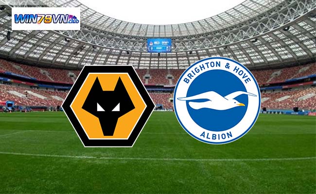 Win79 soi kèo bóng đá Wolverhampton vs Brighton 02h45 29/2 - FA Cup